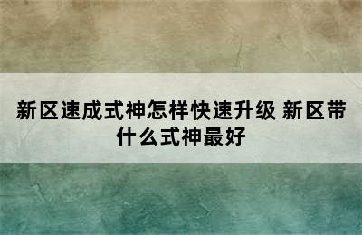 新区速成式神怎样快速升级 新区带什么式神最好